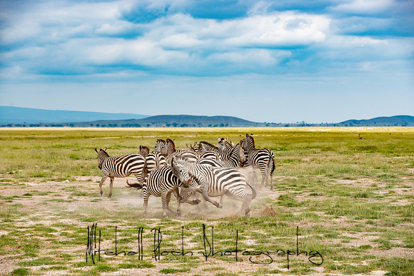 20190602_africa_1482.jpg