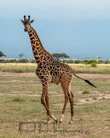 20190602_africa_1576.jpg