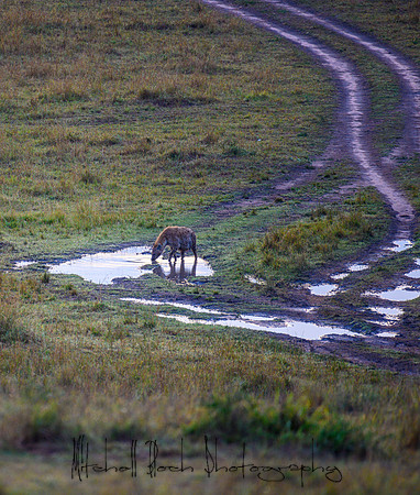 20190606_africa_6648.jpg
