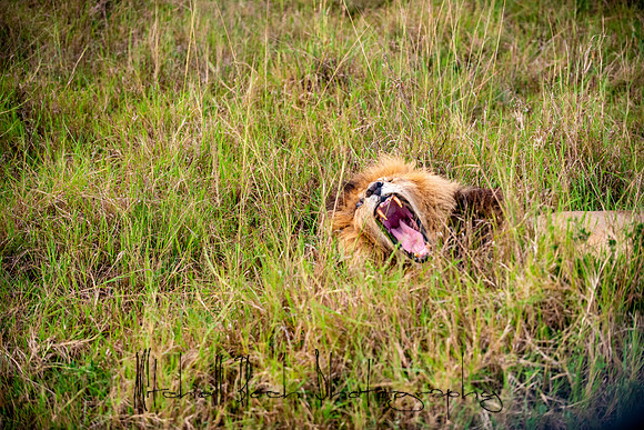 20190605_africa_5170.jpg