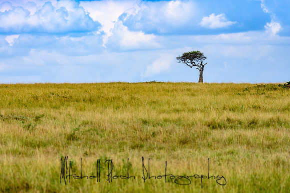 20190607_africa_7778.jpg