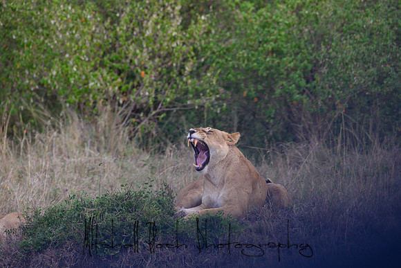 20190606_africa_5946.jpg