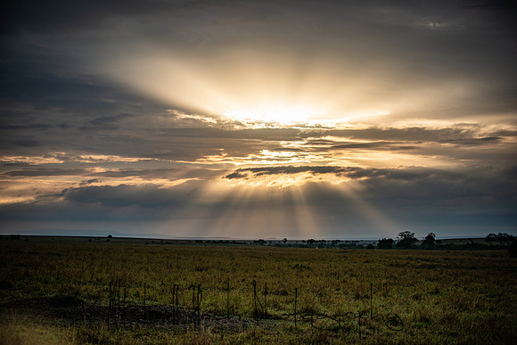 20190606_africa_6251.jpg