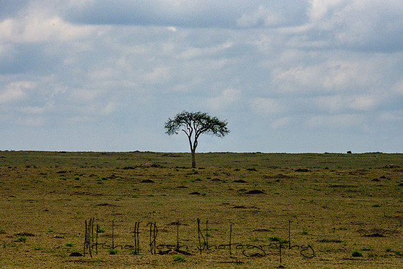 20190606_africa_5328.jpg