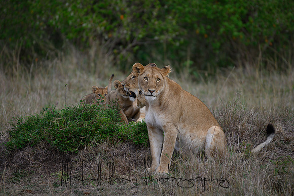 20190606_africa_6023.jpg