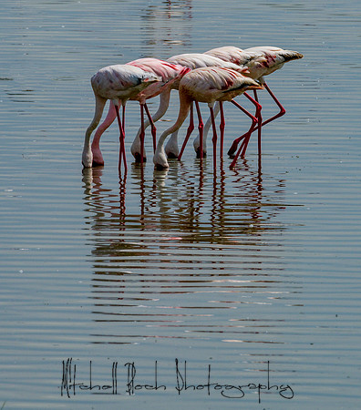 20190603_africa_2869-Edit-2.jpg