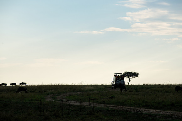 20190606_africa_6543.jpg