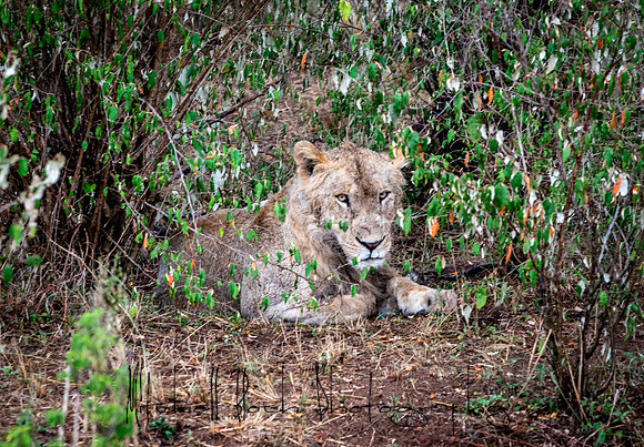 20190605_africa_5068.jpg