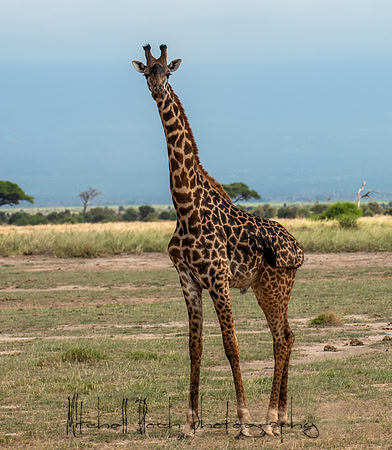 20190602_africa_1573.jpg