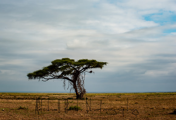 20190602_africa_1213.jpg
