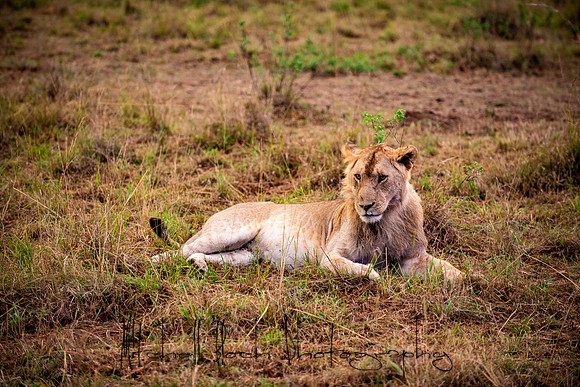 20190605_africa_5271.jpg