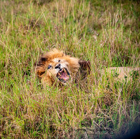 20190605_africa_5172.jpg