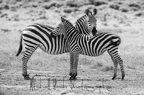 20190603_africa_3910-2.jpg