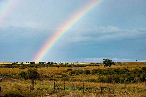 20190605_africa_5081.jpg