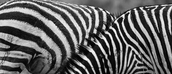 20190605_africa_4773.jpg