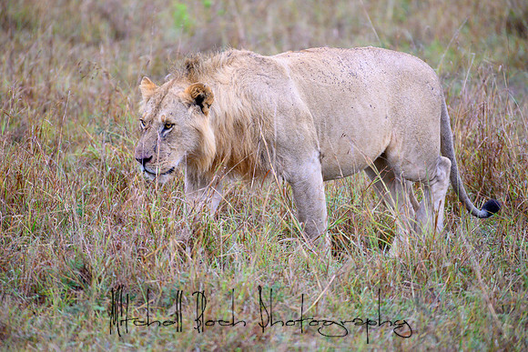 20190607_africa_6879.jpg