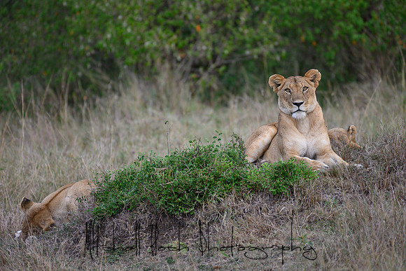20190606_africa_5961.jpg