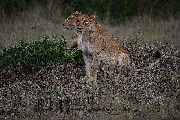 20190606_africa_6005.jpg