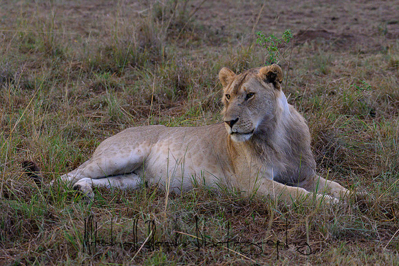 20190606_africa_6191.jpg