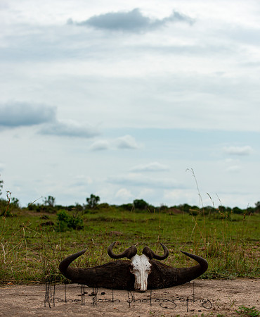 20190606_africa_6387.jpg