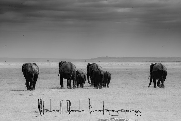 20190602_africa_1279-2.jpg