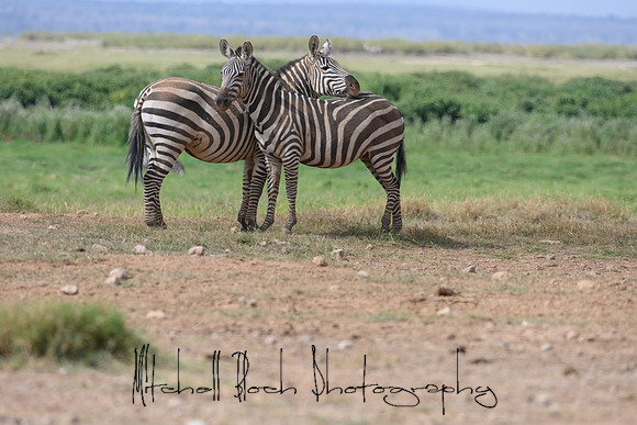 20190603_africa_3837.jpg