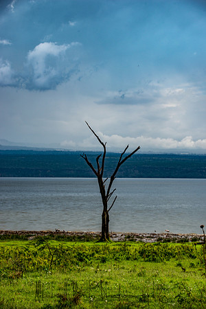 20190603_africa_4253.jpg