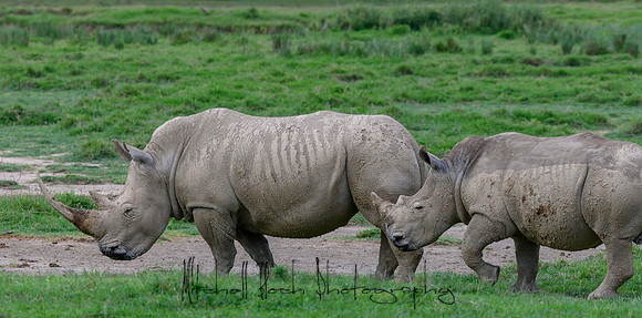 20190604_africa_4465.jpg