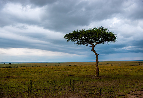 20190606_africa_6566.jpg
