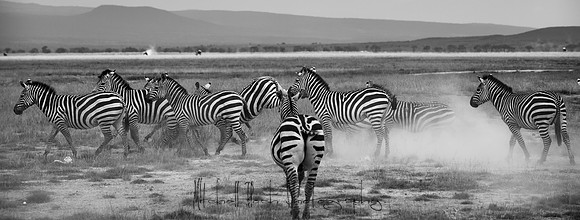 20190602_africa_1499.jpg