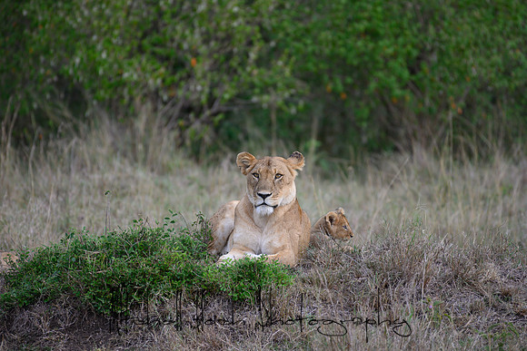 20190606_africa_5872.jpg