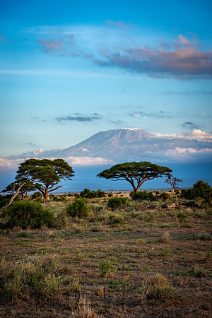 20190601_africa_0028.jpg