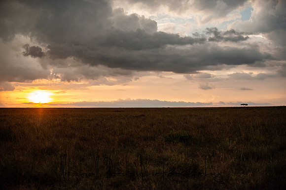 20190605_africa_5175.jpg