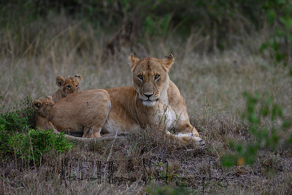 20190606_africa_5635.jpg