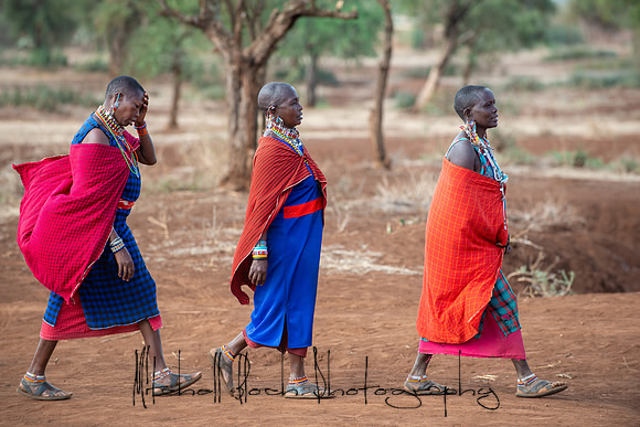 20190602_africa_1649.jpg