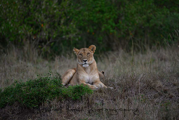 20190606_africa_5964.jpg