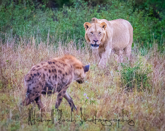20190607_africa_6866.jpg