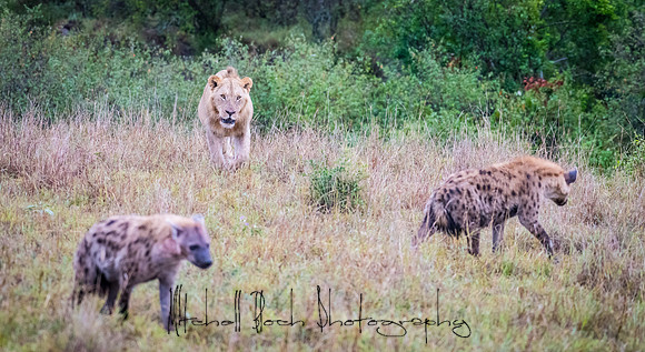 20190607_africa_6872.jpg