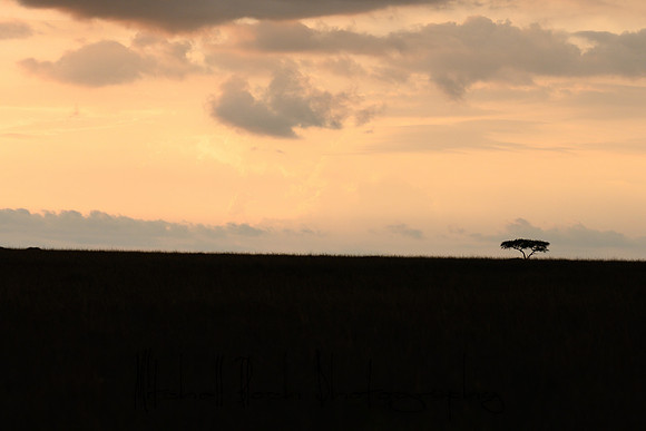 20190606_africa_6142.jpg