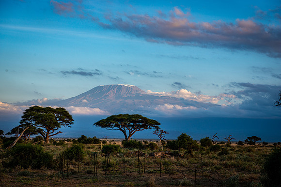 20190601_africa_0027.jpg