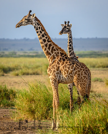 20190602_africa_0874.jpg