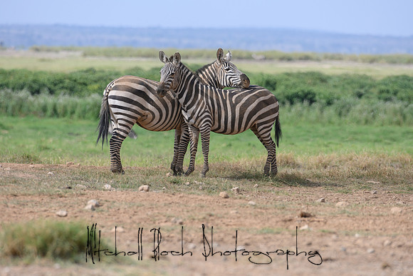 20190603_africa_3838.jpg