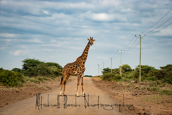 20190602_africa_1617.jpg