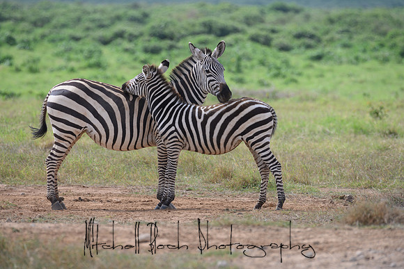 20190603_africa_3907.jpg