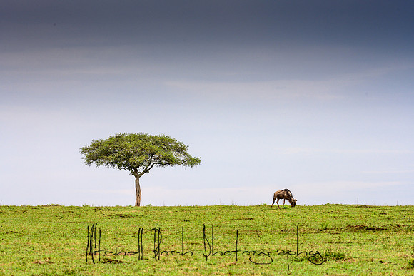 20190607_africa_7209.jpg