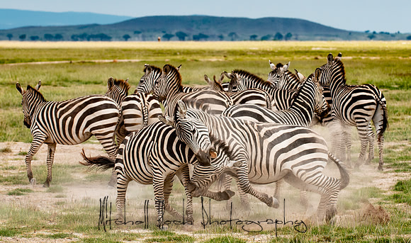 20190602_africa_1482-4.jpg
