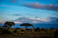 Africa