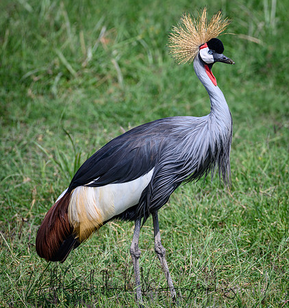 20190603_africa_2562.jpg