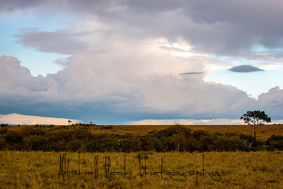 20190605_africa_5086.jpg