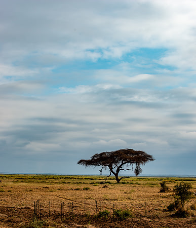 20190602_africa_1202.jpg